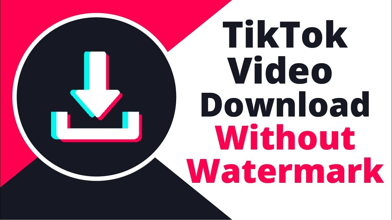 TikTok Video Downloader